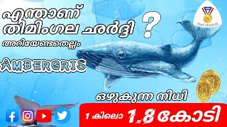 തിമിംഗല ഛര്‍ദ്ദി  വില കേട്ടാല്‍ ഞെട്ടും  എന്ത് എങ്ങനെ അറിയാന്‍