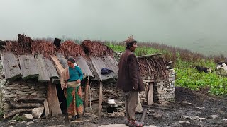 During the Rainy Season survival Life in the Mountain village | All Season Compilation Video |