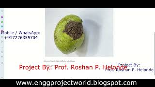 Walnut Disease Detection Using Image Processing Python Project With Source Code Fruit Disease Detect