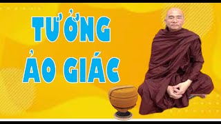 Tưởng, ảo giác dẫn đến việc xấu nào cũng làm | Sư Toại Khanh - Sư Giác Nguyên Giảng