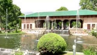 Beautiful Shalimar Garden-Srinagar with Beautiful Flowers - 360 Degree Video *HD*