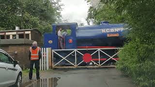 steam train（蒸汽火车）