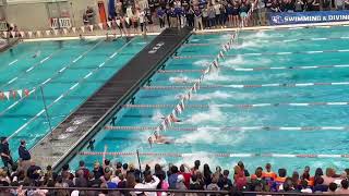 Maximus Williamson Breaks National Record, 41.54 100 Free | 2025 UIL 6A state