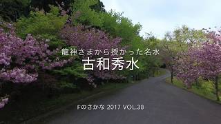 ドローンで撮影：【Fのさかな38号】能登百選より「古和秀水」