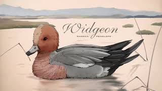 Bird Boy ~ Widgeon