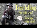 TREE FELLING the SAFE WAY! Line up your face- and backcut! The right way to fell trees with an axe!