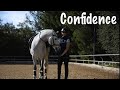 3 Exercises for Confidence with your Horse