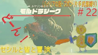 ゼルダの伝説　ハワ・カイの祠（ゲルドの大化石）とモルドラジーク戦！　セシルと皆と冒険＃22（ハイリアの服、ズボン、片手武器縛り）