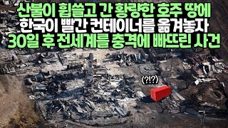 한국 컨테이너 감사합니다