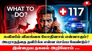 சுவிட்சர்லாந்தில் வாகனம் ஓட்டும்போது ஒரு விலங்கை மோதினால் என்ன செய்ய வேண்டும்? #swisstamiltv