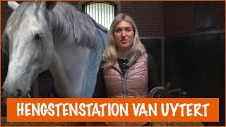 De nieuwe stal van George | PaardenpraatTV