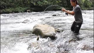 Amazing fishing huge Golden Mahseer