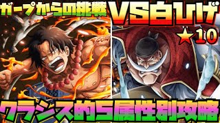 【最新版！】クラシス的５属性別攻略！！【ガープからの挑戦！vs白ひげ！★10】