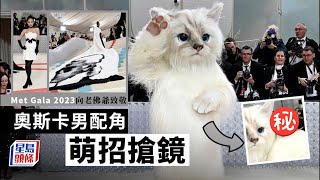 Met Gala 2023｜謝勒力圖貓咪造型萌爆搶鏡 楊紫瓊孖Jennie@BP黑白配向老佛爺致敬