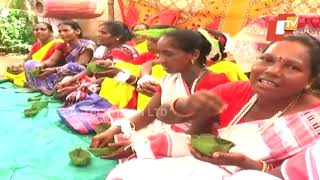 Sundargarh Tribal People Celebrate Nuakhai In Unique Way | Watch