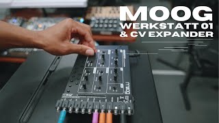 Moog Werkstatt-01 Analog Synth \u0026 CV Expander Demo