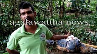 landslide in death new / landslide in sri lanka / landslide in rathnapura / landslide in ayagama