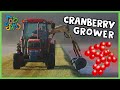 Farmers Harvest Cranberries! | Job Jams |  Kids Learning Songs