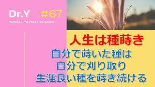 人生は種蒔き：自分で蒔いた種は自分で刈り取る：良い種を蒔き続ける