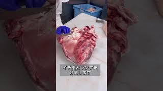 和牛大学　wagyuuniversity和牛ランイチ分割編#shorts#wagyu #和牛#グルメ#牛肉#肉カット#beef #butcher