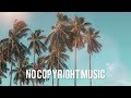 Scandinavianz - Coconuts (No Copyright Music)