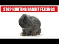 These 10 Things Hurt Your Rabbit EMOTIONALLY