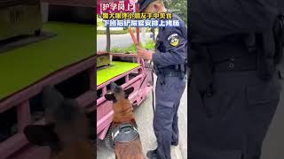 护学岗上的警犬眼馋小朋友手中的烤肠。在淅川特警训导员的提醒下，警犬努力克制自己，重回工作状态。下班后，不忍见警犬一脸馋相的训导员，给狗狗安排上了烤肠