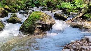 Rapid mountain stream / mp3 - crystal clear water / wallpaper, sounds of nature from the mountains