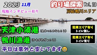 【釣り場探索】天津小湊港 鴨川漁港 11月 鴨川エリア 千葉 南房総 釣り Vol.18 🐡🐟