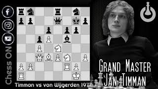 Jan Timman - Best Chess Tactics!