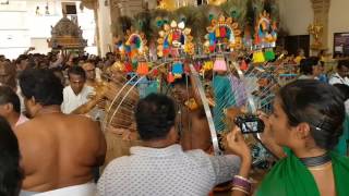 Thaipusam 2017 Selvaraj Kavadi