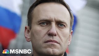 Putin critic Alexei Navalny sentenced to 19 years in Russian prison