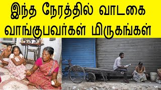 இந்த நேரத்தில் வாடகை வாங்குபவர்கள் மிருகங்கள் | home shop rent tamilnadu minister vijayabaskar