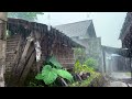 Heavy rain and thunderstorms in July||beautiful countryside in Indonesia||rain video