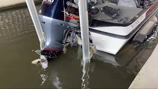 2015 Skeeter ZX 250 New Orleans  Houma  Lafayette  Lake Charles  Slidell  Baton Rouge