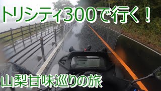 【トリシティ300】GoToを利用して山梨へ旅行に行ってきた #7