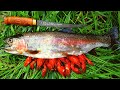 Crawdad STUFFED Trout Catch n’ Cook!! (BIG Belly of Flavor)