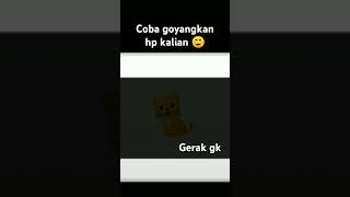 Maaf kalok gagal