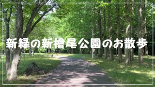 【大阪】緑に癒される新檜尾公園のお散歩