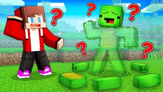 How Mikey LOST Body Parts in Minecraft (Maizen)