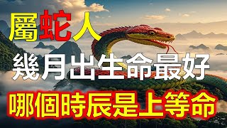 【生肖蛇】生肖屬蛇人的生辰八字！那生肖蛇幾月出生命最好呢？什麼時辰出生是上等命？本期視頻解讀生肖屬蛇人一生命運！#生肖運勢 #生肖 #十二生肖