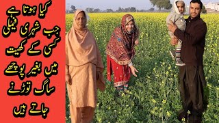 kya huwa jab modern familly ne biger ijazat k saag tora || Couple Vlogs || Pakistani Family Vlogs