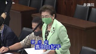 参議院 2020年06月04日 法務委員会 #09 嘉田由紀子（碧水会）