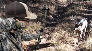 BIG BUCK HEARTSHOT at 10 YARDS - PA Rut Hunt