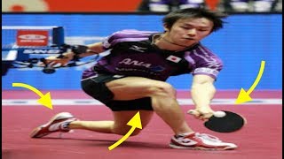 《卓球》凄っ！反射神経のかたまり。強烈カットブロック最高！丹羽孝希《衝撃》koki niwa《table tennis》