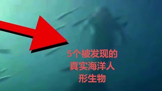 五个被发现的真实海底人形生物