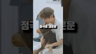 BTS 정국의 방탄 강아지 사랑 ㄷㄷㄷ