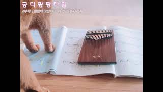 칼림바 연습 그만하고 궁디팡팡해달라는 고영희씨 / My cat wants me to stop practicing and pat her.