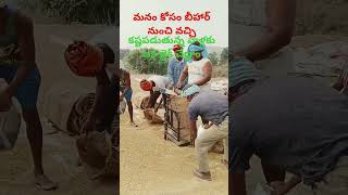 రైతుల కష్టాలలో తోడు ఉంటున్న అమాలి 🌾🌾🌾👌👌👌