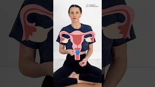 How To Kegel Correctly With Visuals Cues